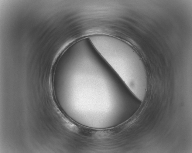 X0000062650796200512211032