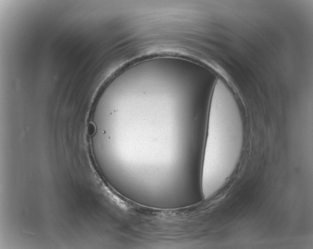 X0000062650799200512211032