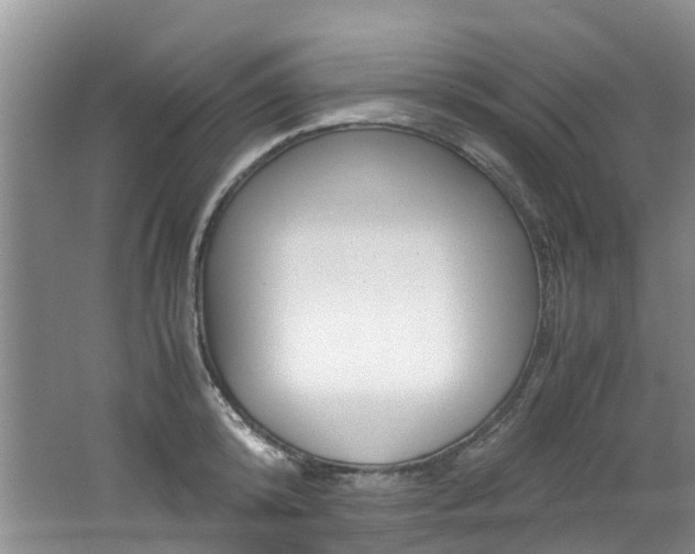 X0000062650800200512211032