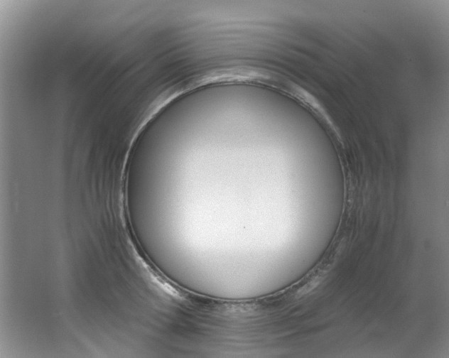 X0000062650802200512211032