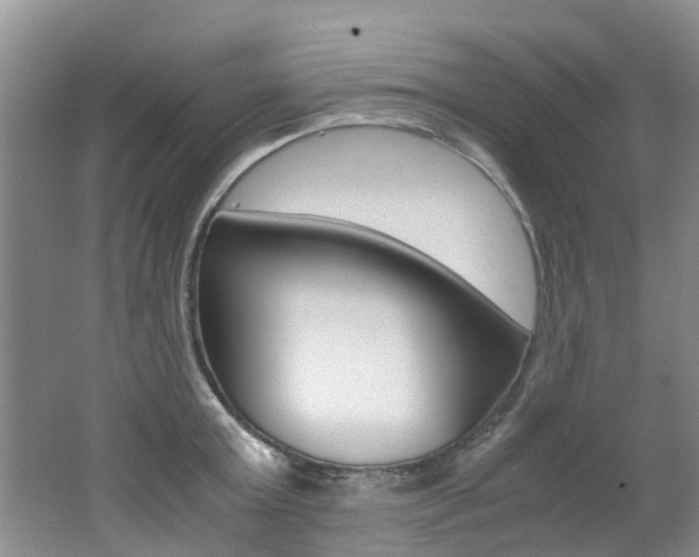 X0000062650803200512211032