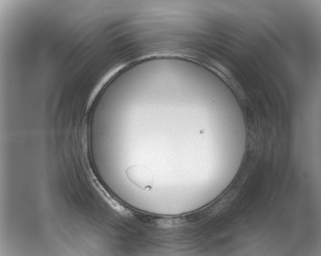 X0000062650804200512211032