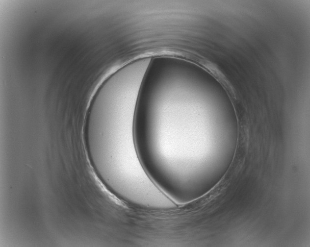 X0000062650805200512211032