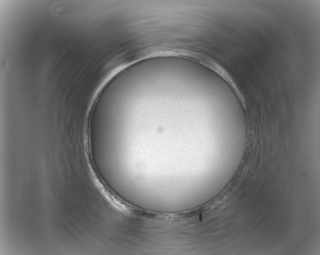 X0000062650811200512211032