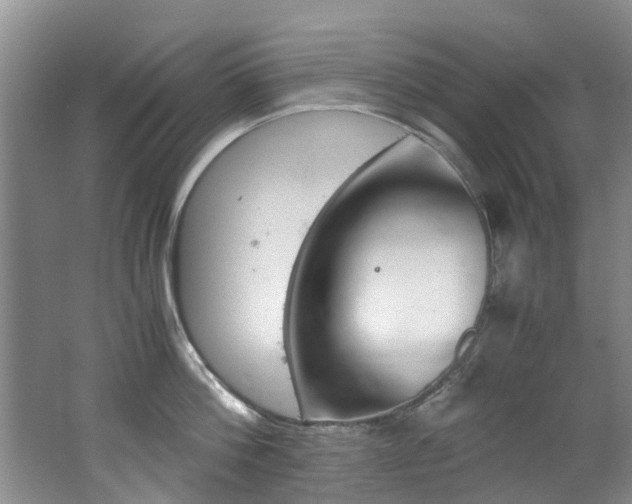 X0000062650812200512211032