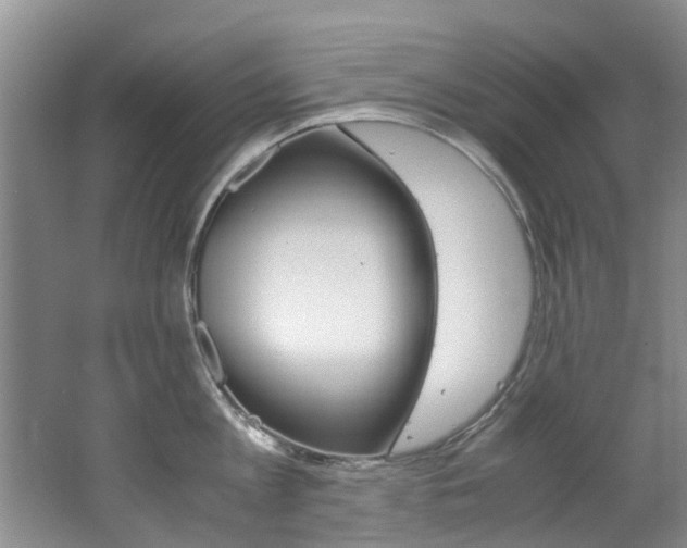 X0000062650813200512211032