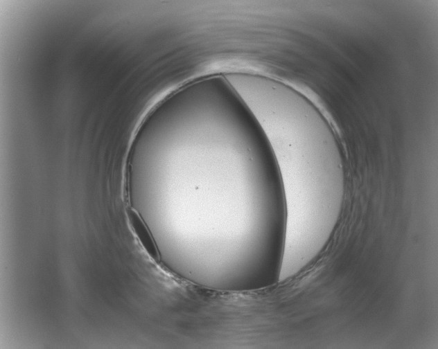 X0000062650815200512211032