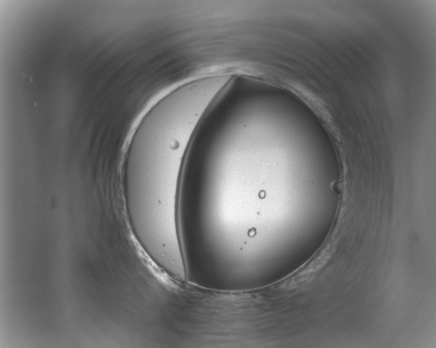 X0000062650816200512211032