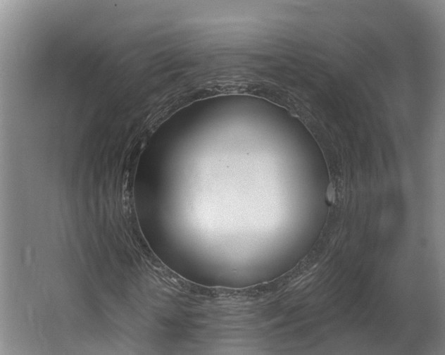 X0000062650818200512211031