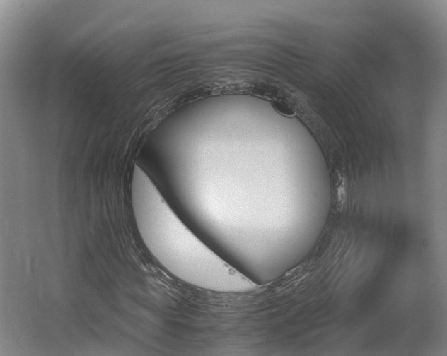 X0000062650819200512211031