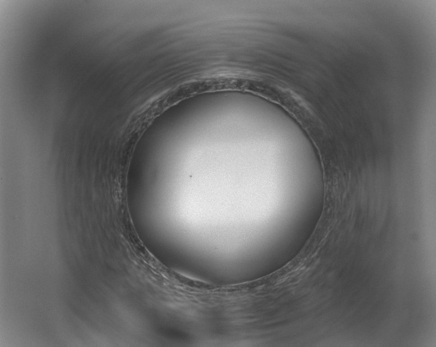 X0000062650821200512211031