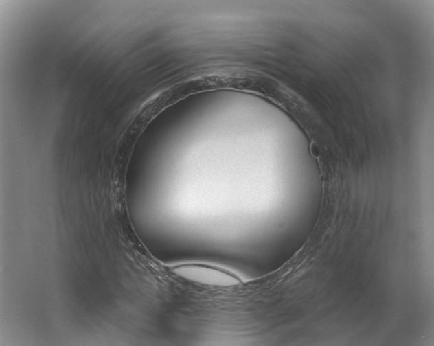 X0000062650822200512211031