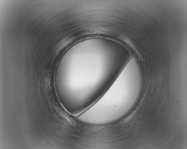 X0000062650826200512211031