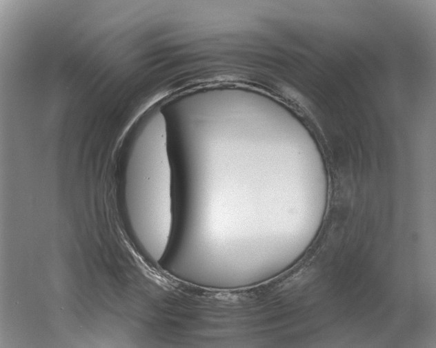 X0000062650827200512211031