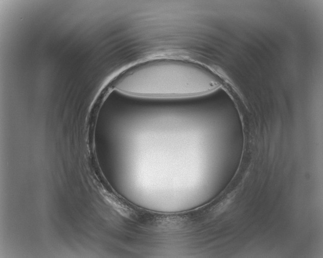 X0000062650830200512211032