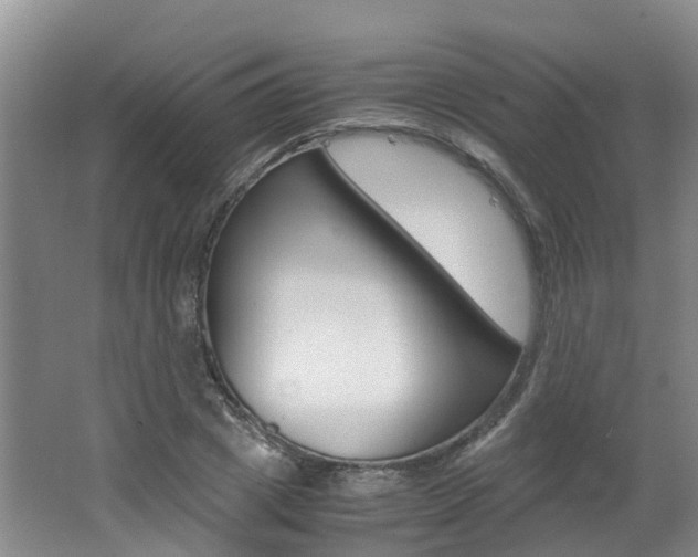 X0000062650833200512211032