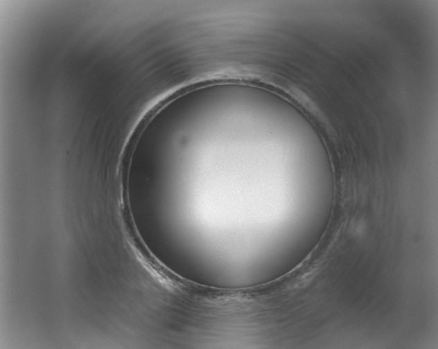 X0000062650838200512211032