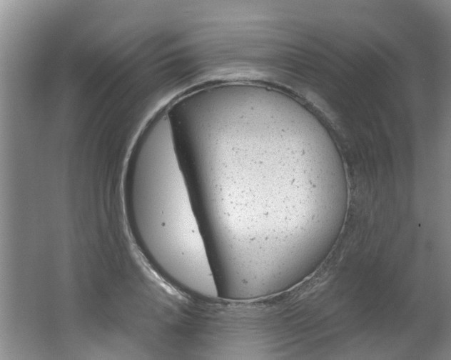 X0000062650840200512211032