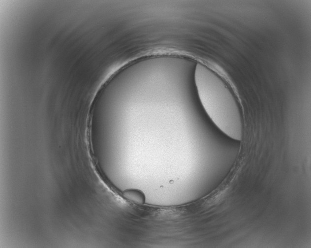 X0000062650847200512211032