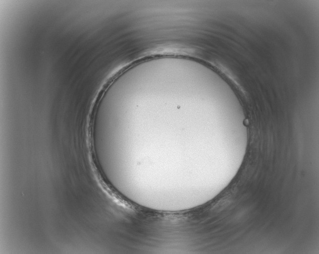 X0000062650848200512211032