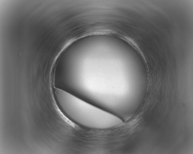 X0000062650851200512211032