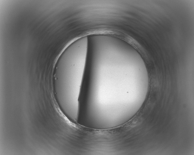 X0000062650852200512211032