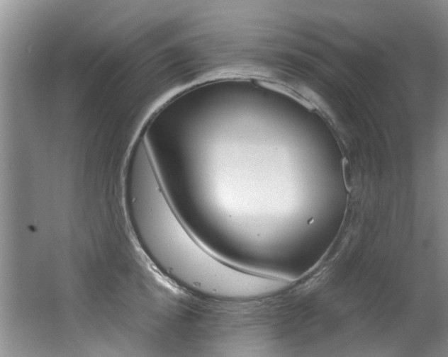 X0000062650854200512211032
