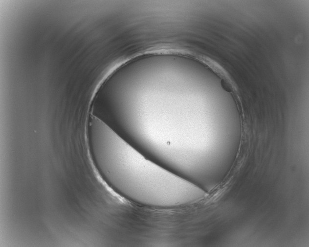 X0000062650855200512211032