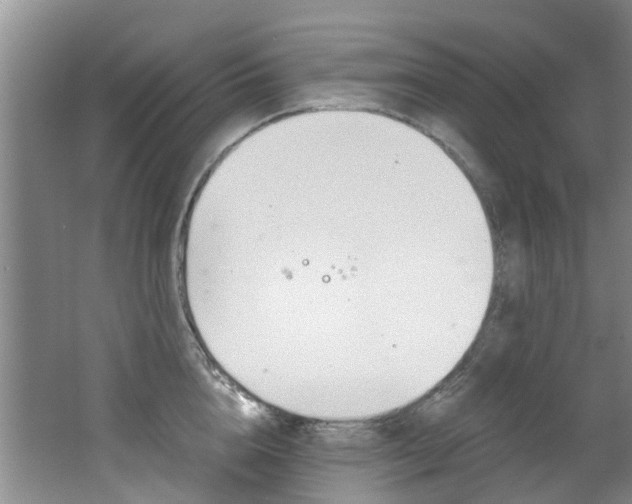 X0000062650856200512211032