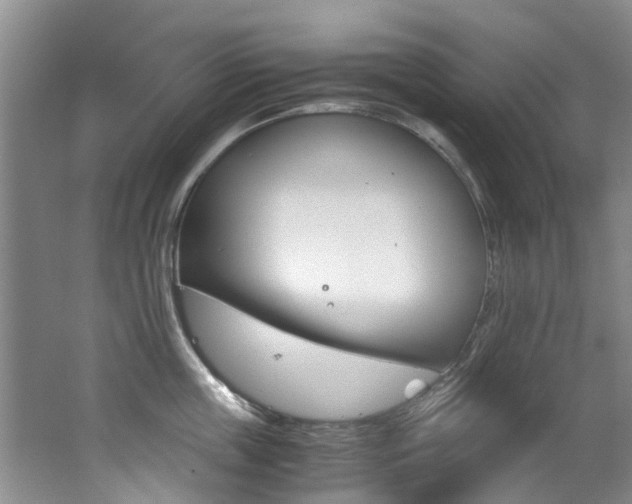 X0000062650859200512211032