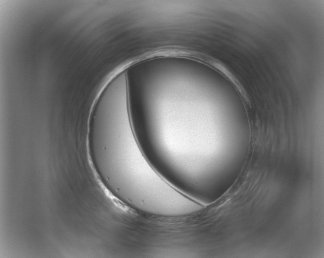 X0000062650861200512211032