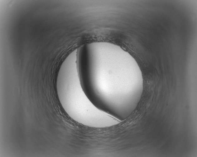 X0000062650865200512211031