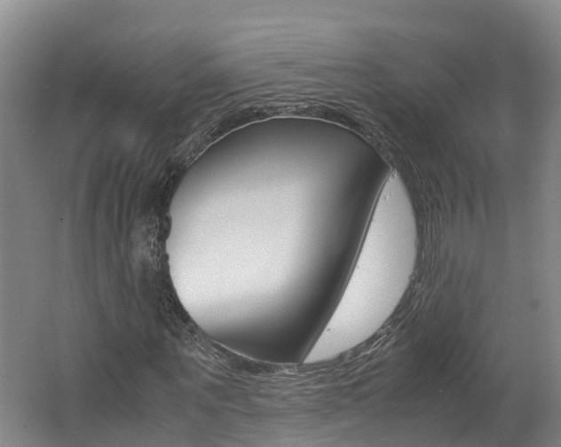 X0000062650867200512211031