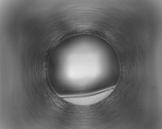 X0000062650868200512211031