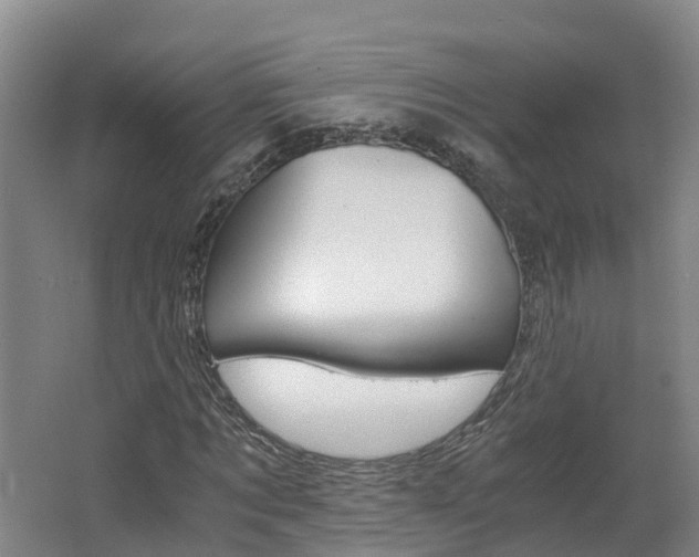 X0000062650869200512211031