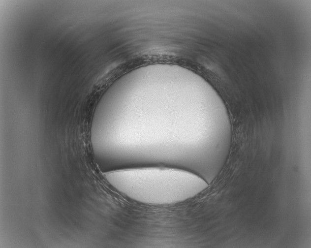 X0000062650870200512211031