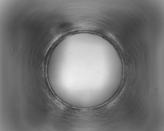 X0000062650875200512211031