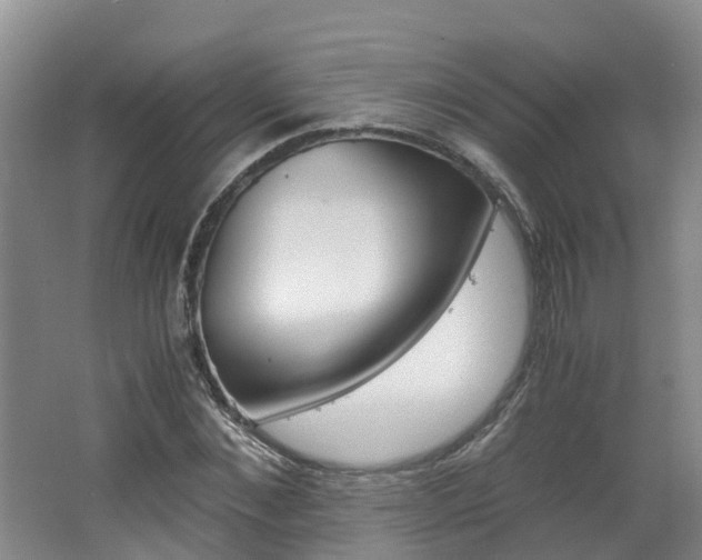 X0000062650876200512211031