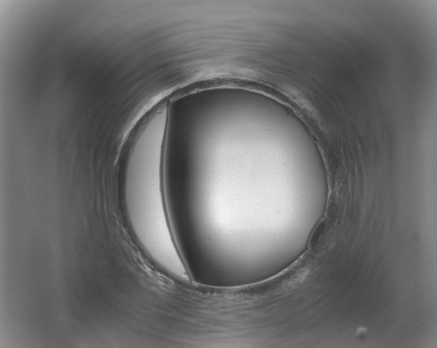 X0000062650877200512211031