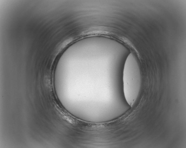 X0000062650882200512211031