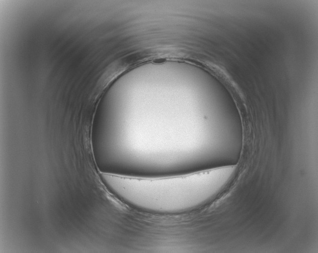 X0000062650889200512211031