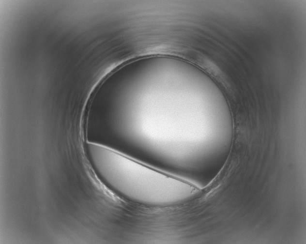 X0000062650892200512211031