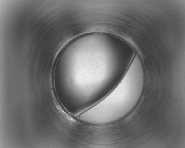 X0000062650896200512211031