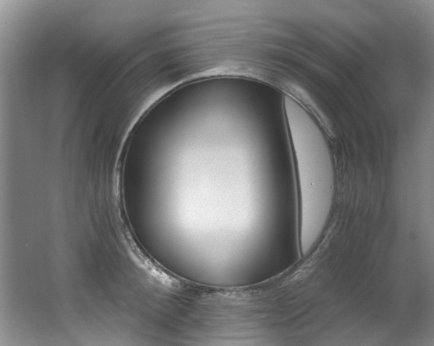 X0000062650900200512211031