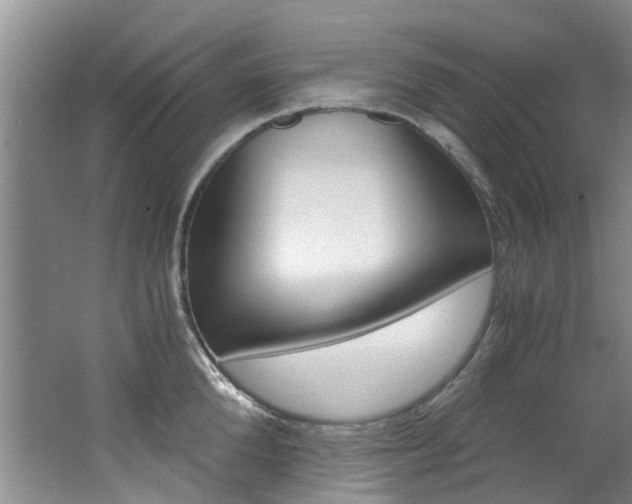 X0000062650904200512211031