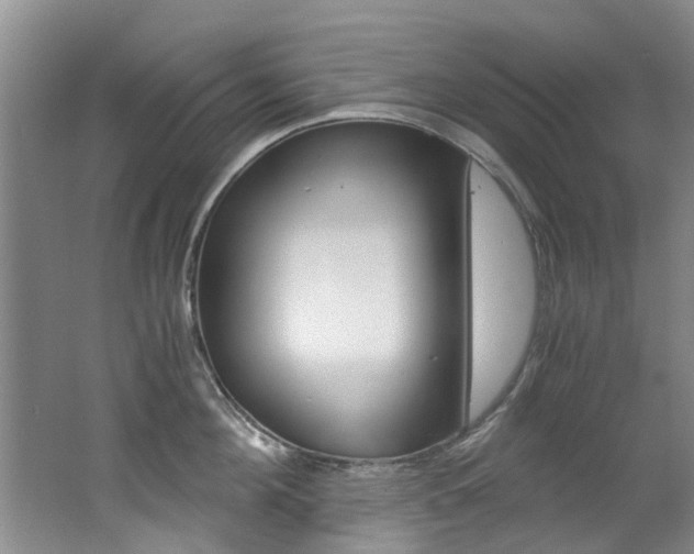 X0000062650908200512211031