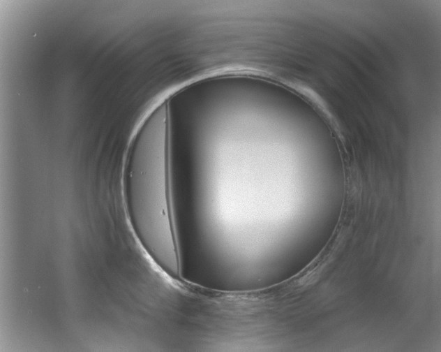 X0000062650910200512211031