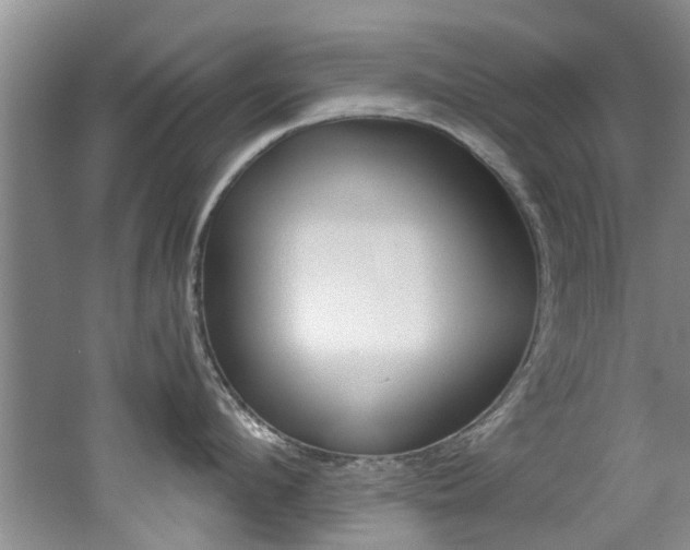 X0000062650912200512211030