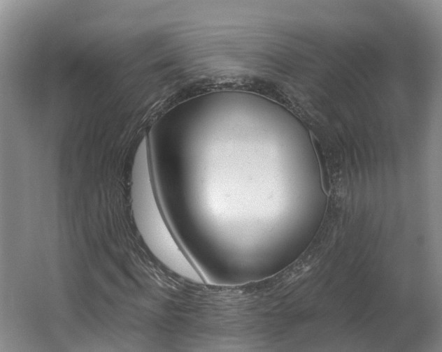 X0000062650916200512211030