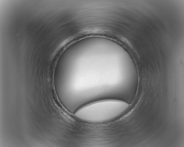 X0000062650922200512211030